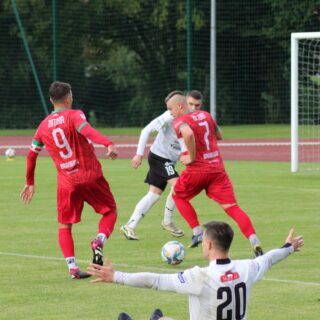 IMG_0031