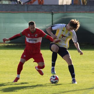 IMG_2556