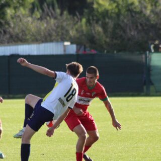 IMG_2655