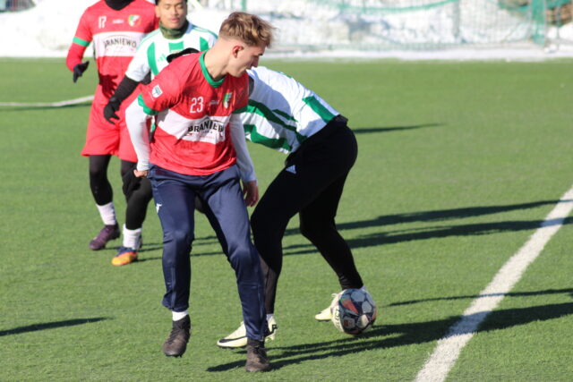 Nowe Smoki w Zatoce.