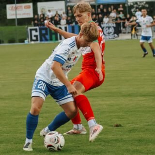 IMG_7015